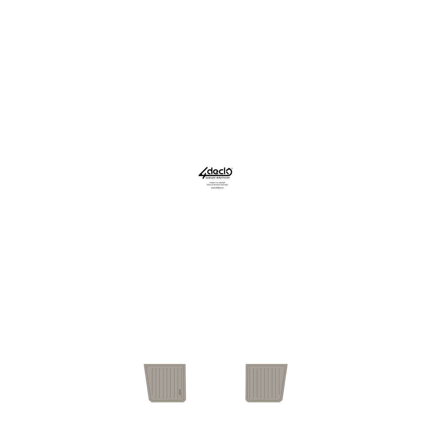 Cattleyta X6 2024