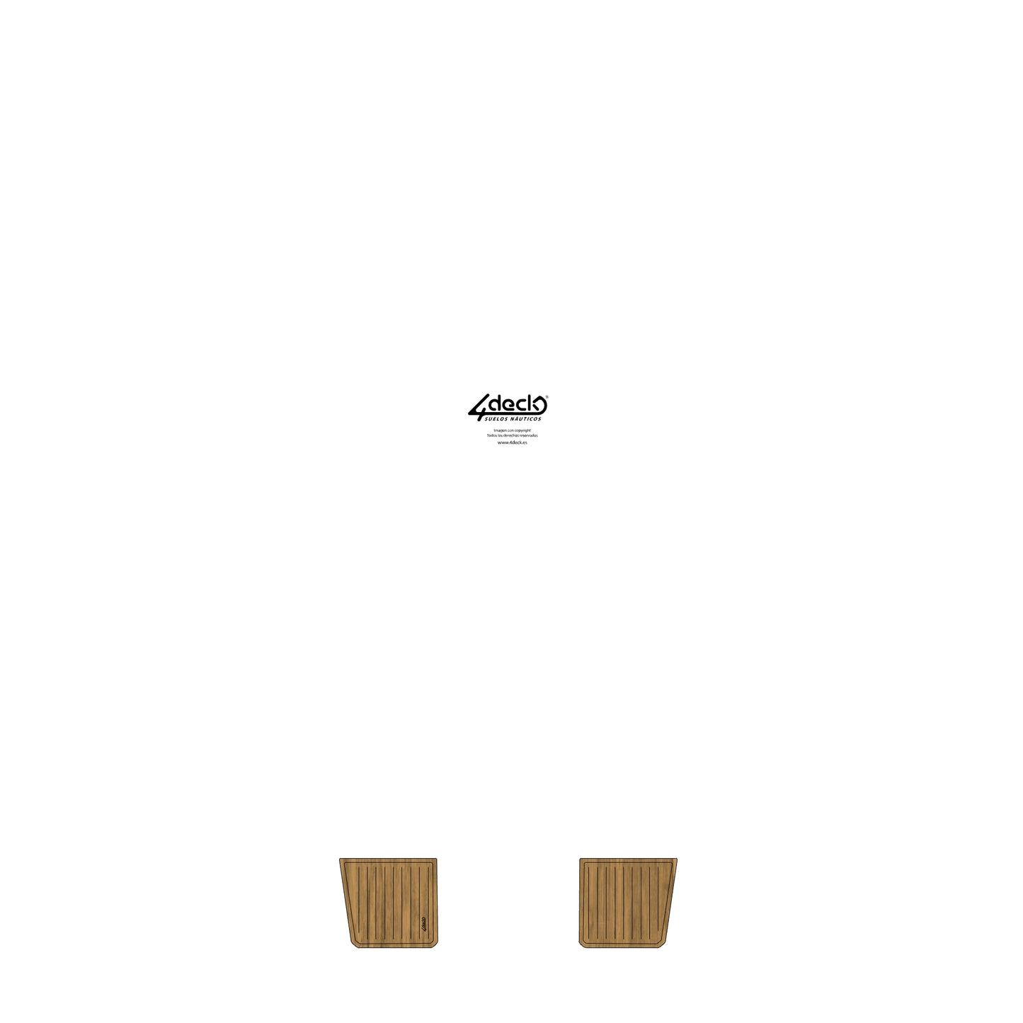 Cattleyta X6 2024