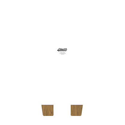 Cattleyta X6 2024